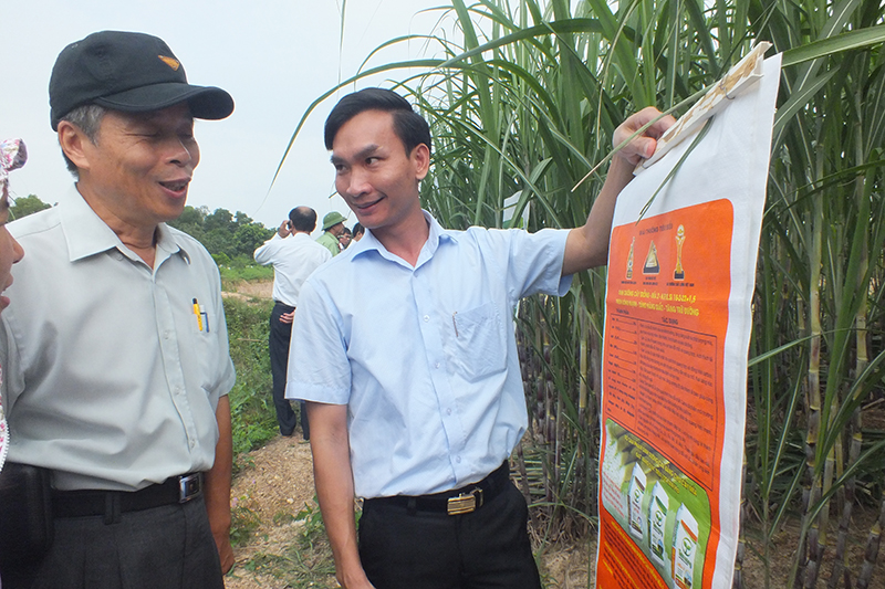 Dinh dưỡng cây trồng Tiến Nông mang lại hiệu quả cao tại vùng mía nguyên liệu Việt Đài