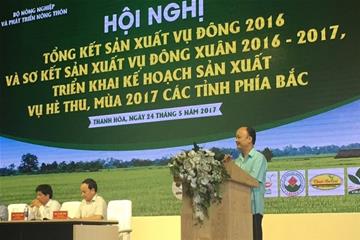 Hội nghị tổng kết sản xuất vụ Đông 2016 và sơ kết sản xuất vụ Đông Xuân 2016 – 2017, triển khai kế hoạch sản xuất vụ Hè Thu, Mùa 2017 các tỉnh phía Bắc