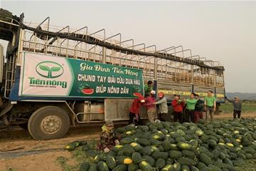 Gia đình Tiến Nông giải cứu 30 tấn dưa hấu hỗ trợ nông dân trồng dưa trong mùa dịch bệnh Corona