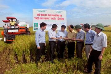 Mô hình áp dụng cơ giới hóa đồng bộ theo giải pháp kỹ thuật Tiến Nông tại Nam Định